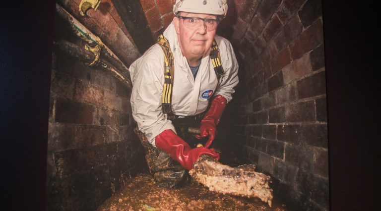 fatberg exposition