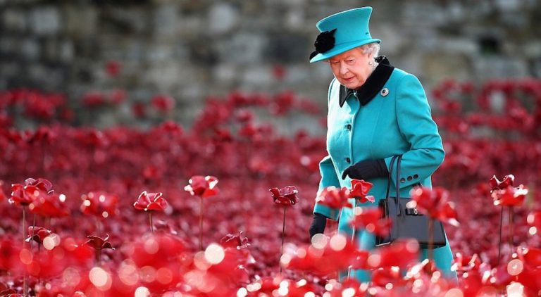 Poppies novembre question bête