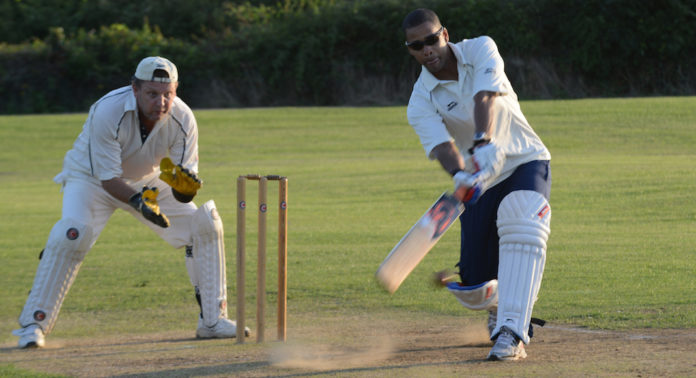 Cricket Cricket