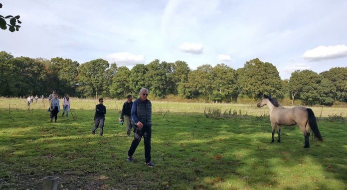 randonnee french walks and sunday roasts great missenden