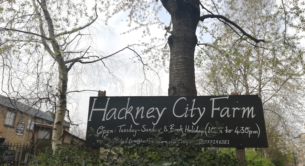 hackney city farm