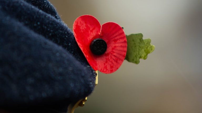 ou commémorer le 11 novembre remembrance day