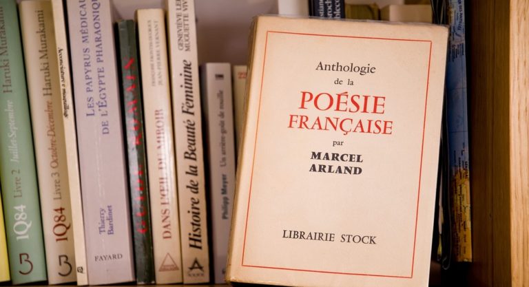 Livres en français
