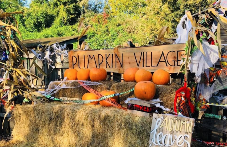 pumpkin patches halloween Londres