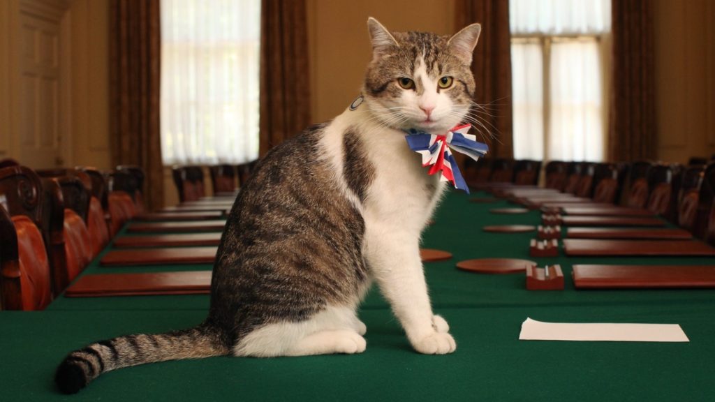 Cinq choses à savoir sur Larry, le chat du 10 Downing Street
