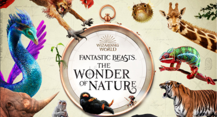Les Animaux Fantastiques S Invitent Au Musee D Histoire Naturelle De Londres