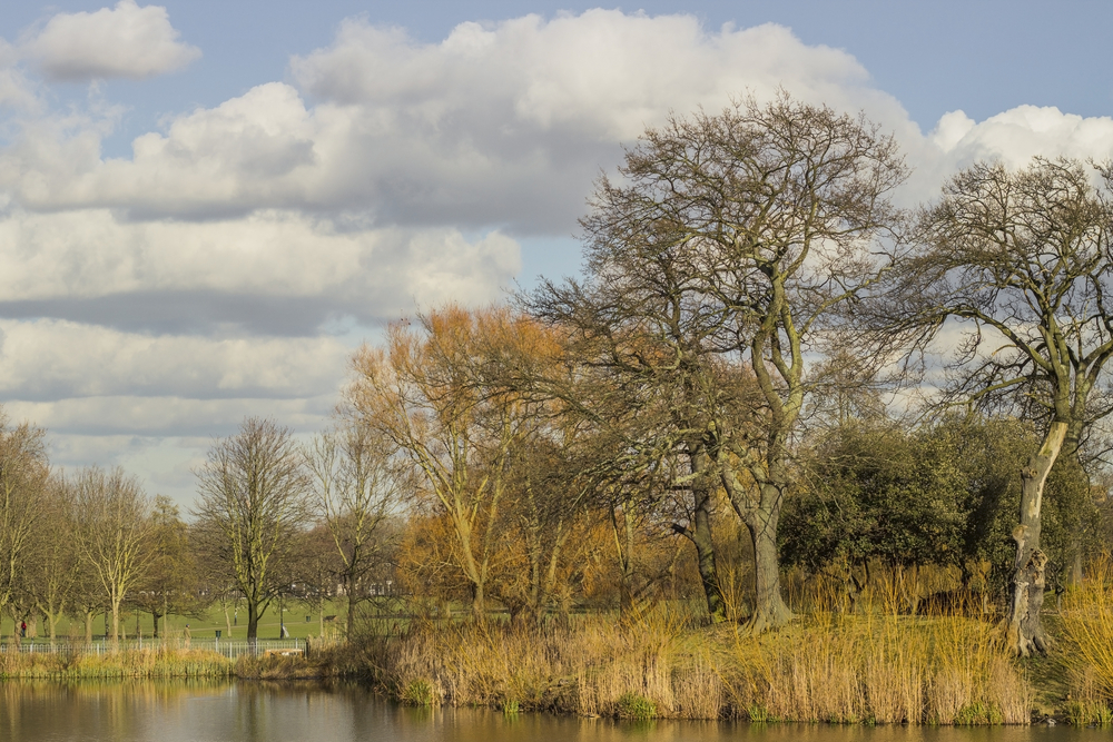 Clapham Common Ponds