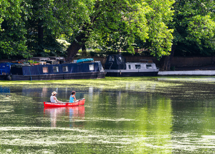 activités nautiques londres