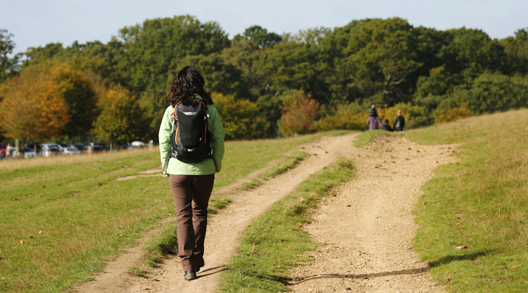 The next “French Walks & Sunday Roasts” hike will connect Wimbledon to Kingston