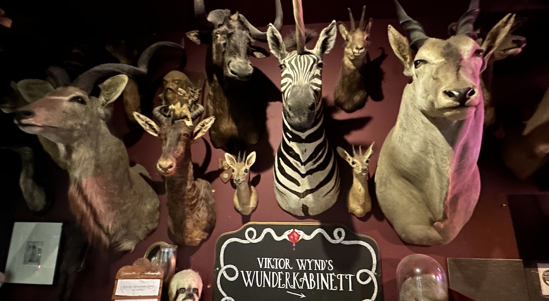animaux musee curiosites londres