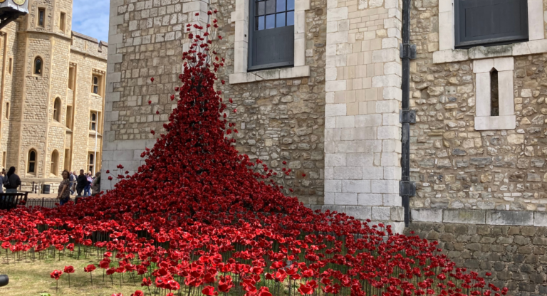 Une rivière de 30,000 coquelicots à la Tower of London pour commémorer les 80 ans de la fin de la Seconde guerre mondiale