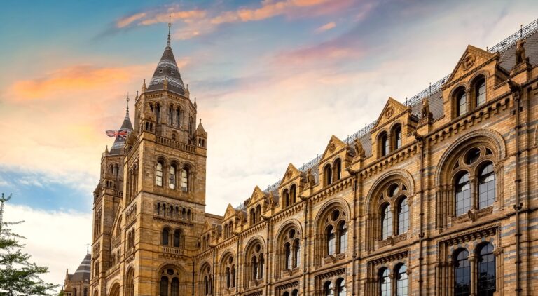 Deux Français parmi les gagnants du concours Wildlife Photographer of the Year 2025