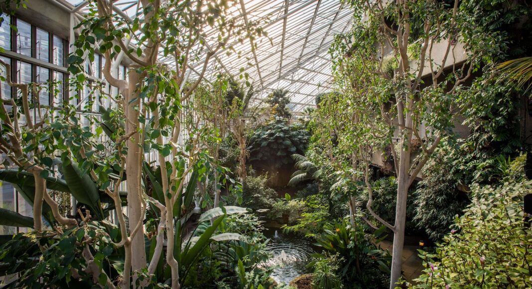 voyage Londres insolite