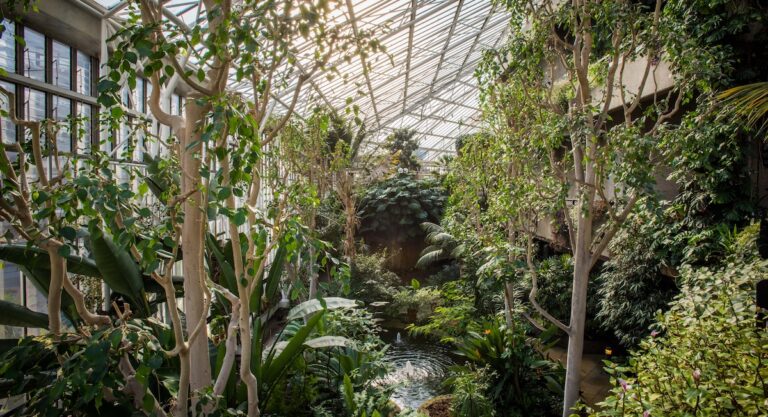 voyage Londres insolite