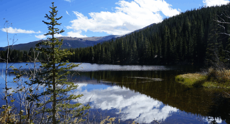 Parcs nationaux américains : pourquoi les étrangers vont payer très cher en 2026 (et comment l&rsquo;éviter)