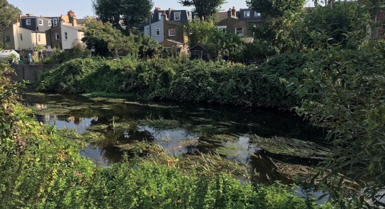 Les rivières méconnues de Londres pour profiter de belles balades