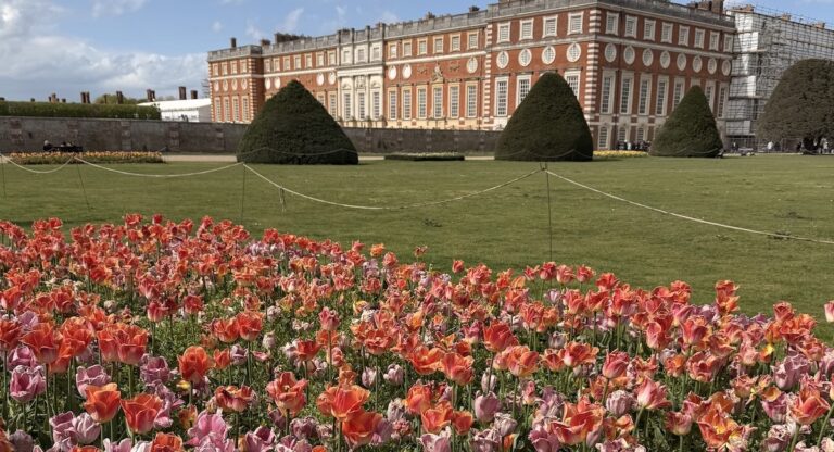 Le Tulip Festival au Hampton Court Palace