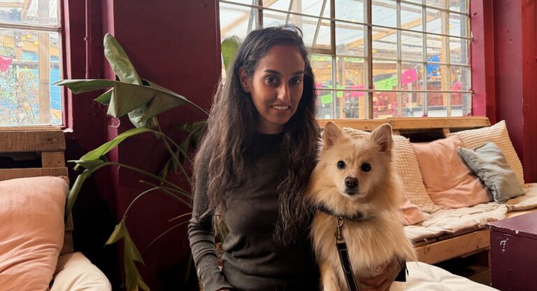 Changement dans les règles d&rsquo;utilisation du passeport européen pour les animaux de compagnie : une Française de Londres lance une pétition