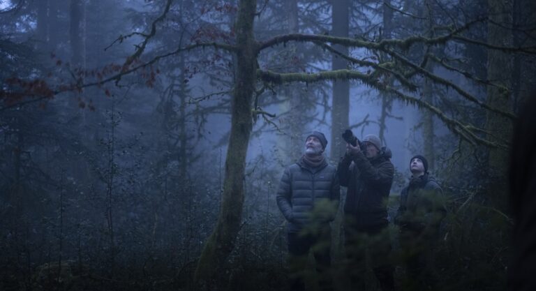 « Le Chant des forêts » : Vincent Munier réalise un documentaire intime au cadre enchanteur 