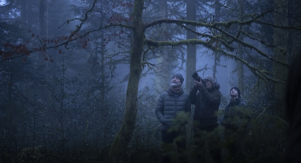 « Le Chant des forêts » : Vincent Munier réalise un documentaire intime au cadre enchanteur 